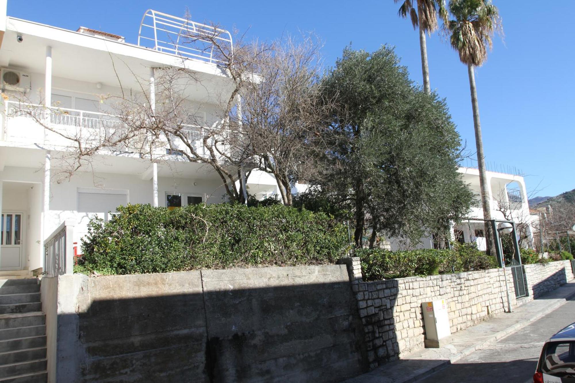 Apartments Popovic Petrovac Exteriör bild